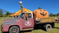 Stickley Family Farms opens Sept. 13 with fall fun in Colon