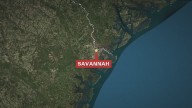 Hundreds detained in Georgia immigration raid