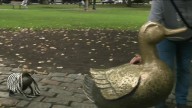 Sweater stolen from Mama Duck statue in Public Garden