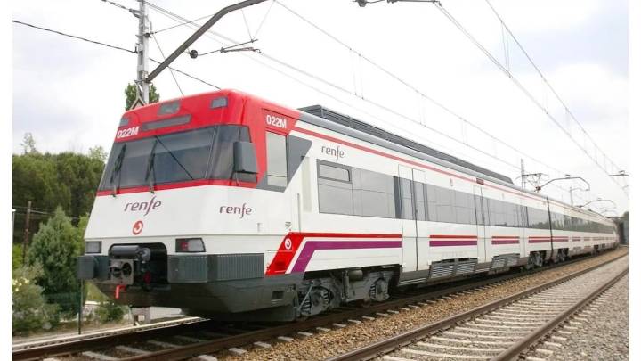 El atropello de un tren a una vaca, que dio a luz en el suceso, lleva a la Guardia Civil a encontrar un cadáver