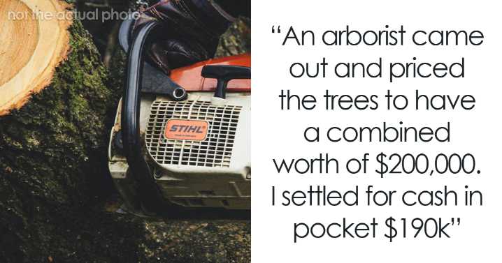 Neighbor Cuts Down White Oak Trees Without Permission, Gets Hit With $190K Settlement