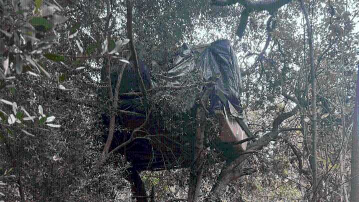 Man with large encampment on private property arrested 6 days after starting fire: police 