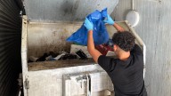 Todo al mismo contenedor: el Mercado Central de Alicante sin separación de residuos