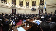 El Gobierno se encamina a otra derrota: el Senado rechazará el veto a la emergencia en discapacidad