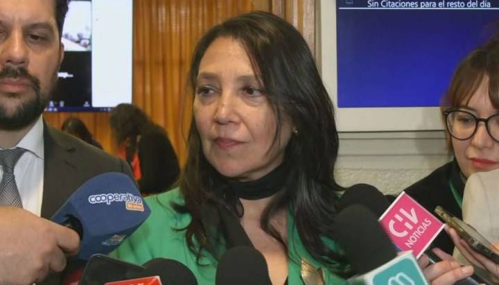 Proyecto de voto obligatorio: Gobierno confirma que repondrá la multa
