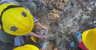 California scientists are trying to understand how to keep soil healthy amid changing climate