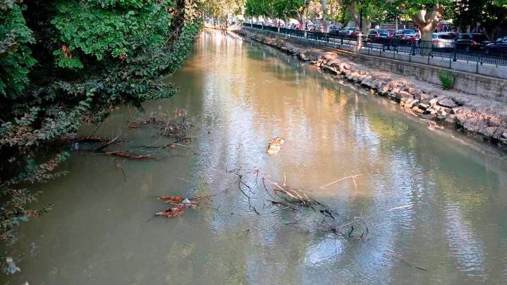 Los organizadores de la Bajada del Canal alertan de obstáculos y basura días antes de la cita