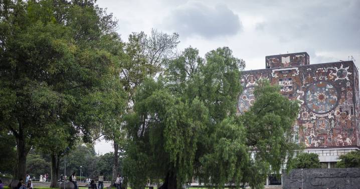 UNAM, en alerta: Desalojan y suspenden actividades en Facultad de Economía por amenaza de bomba