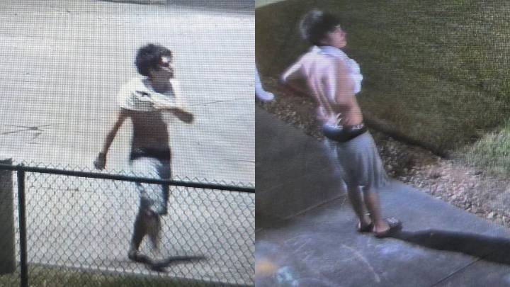 Harris County: Suspect wanted for damaging Spring school windows, officials say