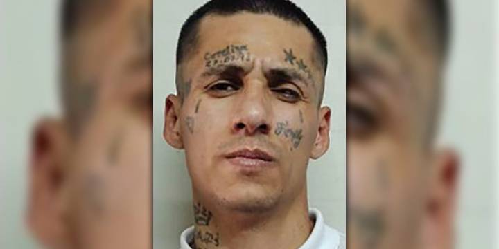La misteriosa fuga de uno de los “Bin Laden” de Neuquén: tenía salidas transitorias, estaba por cumplir condena y huyó