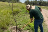 Continúan labores de preservación en La Pona