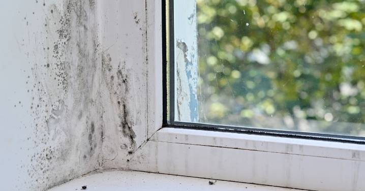 The surprising reason you have mould around doors and windows