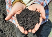 Zen and the Art of Composting