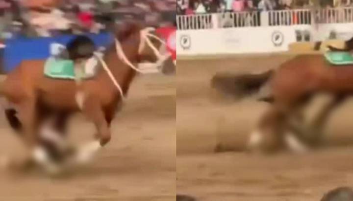 Se cayó del caballo: actualizan estado de salud de carabinero que sufrió accidente en show ecuestre en La Reina
