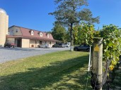 New Md. winery offers tasty wines, comfortable venue and Chesapeake Bay view