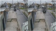 Chofer atropelló y mató a una perrita pese a tener lugar para esquivarla en Argentina