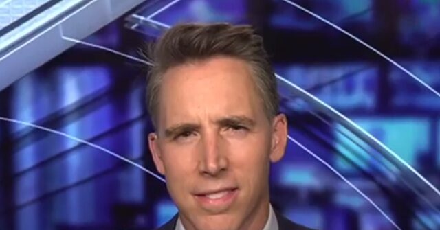 Hawley: 'The Democratic Party Today Is a Theater Troupe Funded by George Soros'
