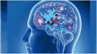Día Mundial de la Enfermedad de Alzheimer: avances en prevención, intervención y cuidado