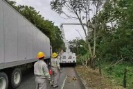 Deuda millonaria por robo de energía en Carmen: Península de Atasta concentra la mayor parte