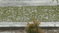 Flights delayed at Sky Harbor Airport as storms hit Arizona