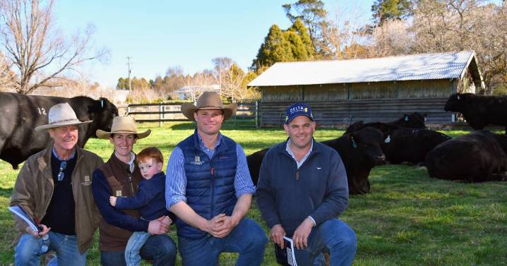 Hazeldean Angus Cooma 2025 spring bull sale top price and buyers