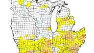 Burn bans in effect in several Tri