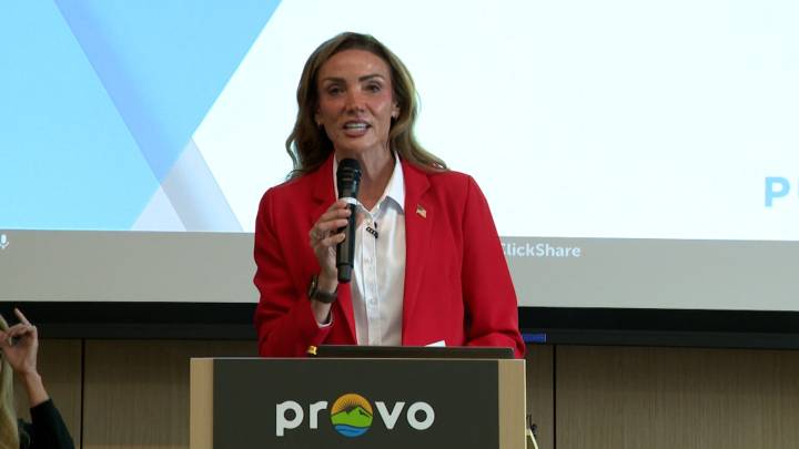 Provo city officials say developer's fence removal did not worsen impact of mudslide