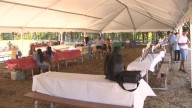 Fun for a good cause as Easton’s 3rd Family Fun Fest & Food Drive