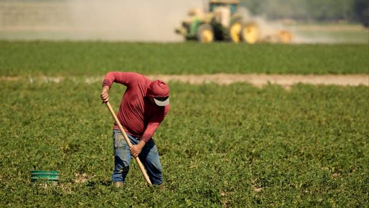 Farming, Computers Lead Gallup’s Industry Ratings. Federal Government Ranks Worst