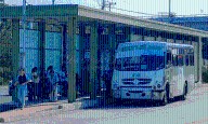 Crisis en el Va y Ven Yucatán: camiones viejos, el renacimiento del transporte