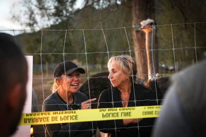 CFIA says BC ostrich farmers must leave by Tuesday or be arrested