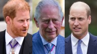 Prince Harry’s reunion with King Charles sparks tension and frustration for Prince William