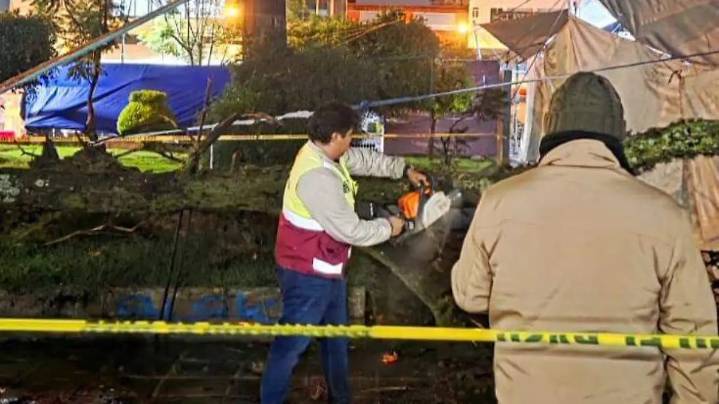 Retiran árbol caído por lluvia en el Parque Hidalgo de Chiautempan