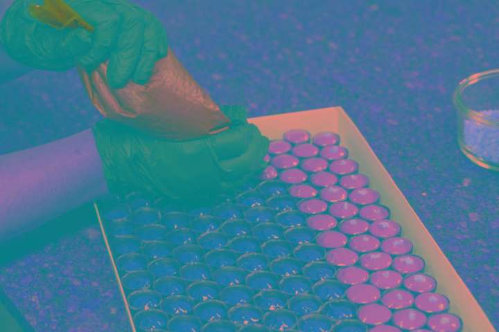 Los rostros y sabores que impulsan la chocolatería en Caracas