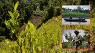 Estados Unidos descertifica a Colombia en la lucha contra las drogas