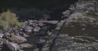 Sauk County dam tentatively approved for removal