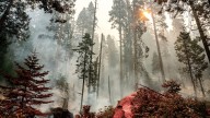 Grove of giant sequoia trees burns in California's Sierra National Forest
