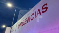 14 Menores Lesionados por Ataque de Abejas en Matamoros