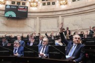 El Senado sancionó la Ley Nicolás, para mejorar la atención a los pacientes y evitar riesgos de mala praxis