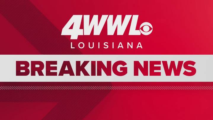 2 dead after Amtrak Mardi Gras Service train collides with vehicle near Bay St. Louis: report