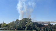 Arde la arboleda cercana al auditorio Rocío Jurado, en La Cartuja