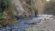 Nuevo espacio protegido en la región Metropolitana: Estero del Arrayán y sus afluentes son declarados como Humedal Urbano