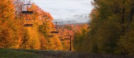 Popular Pa. tourist destination reveals fall foliage forecast
