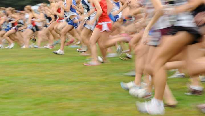 Section V girls cross country results for the 2025 season
