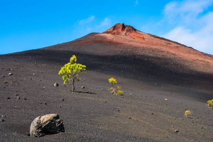 Simulacro para prepararse ante una erupción del Teide