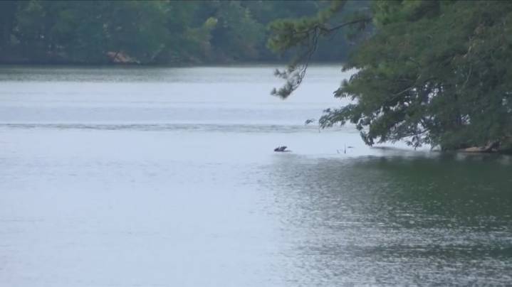 Tragedy on Lake Hamilton claims three lives, including beloved Hot Springs mother