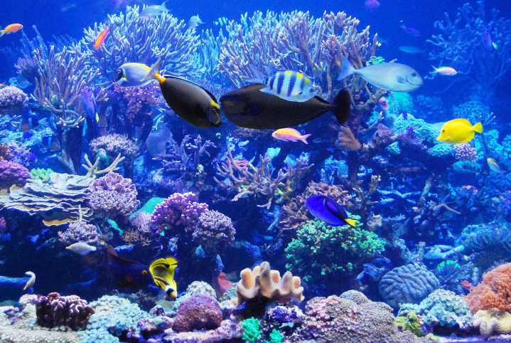 Long Island Aquarium Extends $25 Days and Launches Fun Fall & Winter Events