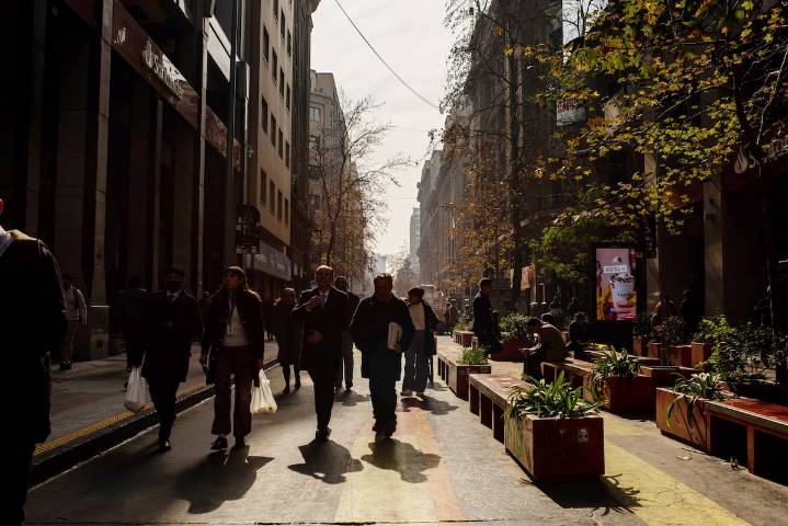 Las ramas y el bosque