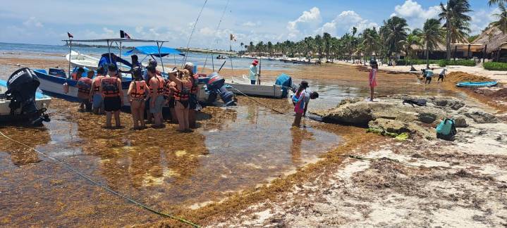 Akumal será sede del primer foro internacional sobre barreras contra el sargazo