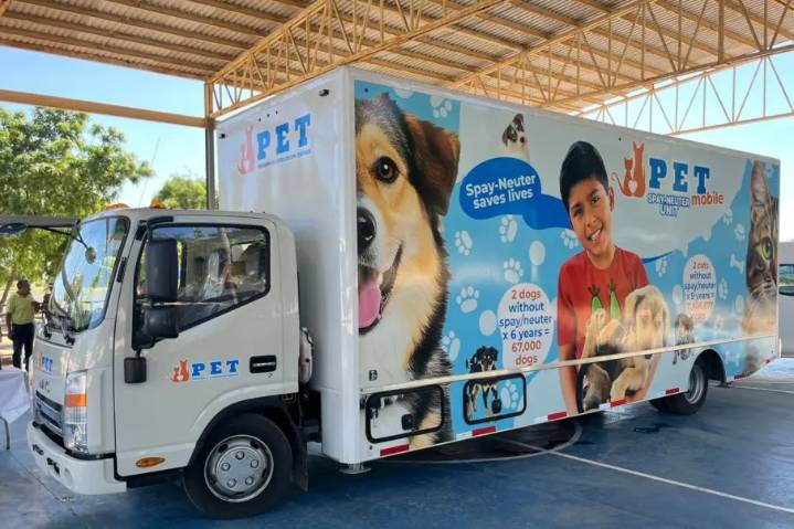 Nueva clínica móvil busca frenar la sobrepoblación de mascotas en Los Cabos